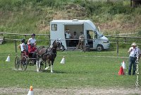 012 P08-MAGNABILITE- ATTELAGE - 27052017-ATE 1259 : 2017, 27 Mai 2017, Concours ATTELAGE 2017, Maniabilité, P08