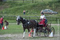 014 P08-MAGNABILITE- ATTELAGE - 27052017-ATE 1261 : 2017, 27 Mai 2017, Concours ATTELAGE 2017, Maniabilité, P08