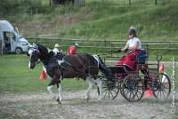 015 P08-MAGNABILITE- ATTELAGE - 27052017-ATE 1262 : 2017, 27 Mai 2017, Concours ATTELAGE 2017, Maniabilité, P08