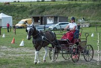 016 P08-MAGNABILITE- ATTELAGE - 27052017-ATE 1263 : 2017, 27 Mai 2017, Concours ATTELAGE 2017, Maniabilité, P08