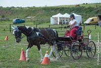 017 P08-MAGNABILITE- ATTELAGE - 27052017-ATE 1264 : 2017, 27 Mai 2017, Concours ATTELAGE 2017, Maniabilité, P08