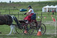 018 P08-MAGNABILITE- ATTELAGE - 27052017-ATE 1265 : 2017, 27 Mai 2017, Concours ATTELAGE 2017, Maniabilité, P08