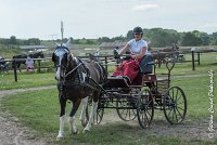 020 P08-MAGNABILITE- ATTELAGE - 27052017-ATE 1267 : 2017, 27 Mai 2017, Concours ATTELAGE 2017, Maniabilité, P08