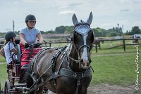 021 P08-MAGNABILITE- ATTELAGE - 27052017-ATE 1268 : 2017, 27 Mai 2017, Concours ATTELAGE 2017, Maniabilité, P08