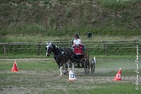 023 P08-MAGNABILITE- ATTELAGE - 27052017-ATE 1270 : 2017, 27 Mai 2017, Concours ATTELAGE 2017, Maniabilité, P08