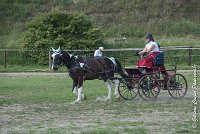 024 P08-MAGNABILITE- ATTELAGE - 27052017-ATE 1271 : 2017, 27 Mai 2017, Concours ATTELAGE 2017, Maniabilité, P08