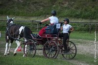 028 P08-MAGNABILITE- ATTELAGE - 27052017-ATE 1275 : 2017, 27 Mai 2017, Concours ATTELAGE 2017, Maniabilité, P08