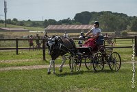 029 P08-MAGNABILITE- ATTELAGE - 27052017-ATE 1276 : 2017, 27 Mai 2017, Concours ATTELAGE 2017, Maniabilité, P08