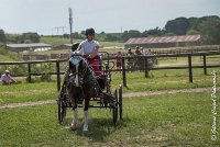 030 P08-MAGNABILITE- ATTELAGE - 27052017-ATE 1277 : 2017, 27 Mai 2017, Concours ATTELAGE 2017, Maniabilité, P08