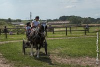 031 P08-MAGNABILITE- ATTELAGE - 27052017-ATE 1278 : 2017, 27 Mai 2017, Concours ATTELAGE 2017, Maniabilité, P08