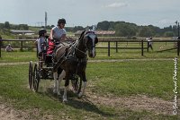 032 P08-MAGNABILITE- ATTELAGE - 27052017-ATE 1279 : 2017, 27 Mai 2017, Concours ATTELAGE 2017, Maniabilité, P08