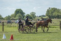 001 P10-MANIABILITE- ATTELAGE - 27052017-ATE 1338 : 2017, 27 Mai 2017, Concours ATTELAGE 2017, Maniabilité, P10