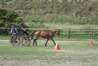 002 P10-MANIABILITE- ATTELAGE - 27052017-ATE 1339 : 2017, 27 Mai 2017, Concours ATTELAGE 2017, Maniabilité, P10