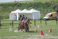 003 P10-MANIABILITE- ATTELAGE - 27052017-ATE 1340 : 2017, 27 Mai 2017, Concours ATTELAGE 2017, Maniabilité, P10