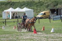 004 P10-MANIABILITE- ATTELAGE - 27052017-ATE 1341 : 2017, 27 Mai 2017, Concours ATTELAGE 2017, Maniabilité, P10