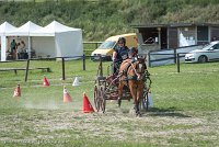 005 P10-MANIABILITE- ATTELAGE - 27052017-ATE 1342 : 2017, 27 Mai 2017, Concours ATTELAGE 2017, Maniabilité, P10