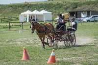 006 P10-MANIABILITE- ATTELAGE - 27052017-ATE 1344 : 2017, 27 Mai 2017, Concours ATTELAGE 2017, Maniabilité, P10