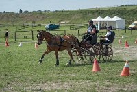 007 P10-MANIABILITE- ATTELAGE - 27052017-ATE 1345 : 2017, 27 Mai 2017, Concours ATTELAGE 2017, Maniabilité, P10