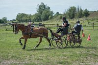 008 P10-MANIABILITE- ATTELAGE - 27052017-ATE 1346 : 2017, 27 Mai 2017, Concours ATTELAGE 2017, Maniabilité, P10