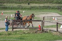 011 P10-MANIABILITE- ATTELAGE - 27052017-ATE 1349 : 2017, 27 Mai 2017, Concours ATTELAGE 2017, Maniabilité, P10