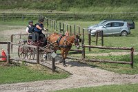 012 P10-MANIABILITE- ATTELAGE - 27052017-ATE 1350 : 2017, 27 Mai 2017, Concours ATTELAGE 2017, Maniabilité, P10