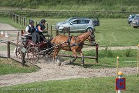 013 P10-MANIABILITE- ATTELAGE - 27052017-ATE 1351 : 2017, 27 Mai 2017, Concours ATTELAGE 2017, Maniabilité, P10