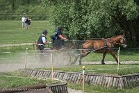 014 P10-MANIABILITE- ATTELAGE - 27052017-ATE 1353 : 2017, 27 Mai 2017, Concours ATTELAGE 2017, Maniabilité, P10