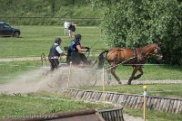 015 P10-MANIABILITE- ATTELAGE - 27052017-ATE 1352 : 2017, 27 Mai 2017, Concours ATTELAGE 2017, Maniabilité, P10