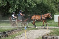 016 P10-MANIABILITE- ATTELAGE - 27052017-ATE 1354 : 2017, 27 Mai 2017, Concours ATTELAGE 2017, Maniabilité, P10