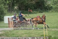 017 P10-MANIABILITE- ATTELAGE - 27052017-ATE 1355 : 2017, 27 Mai 2017, Concours ATTELAGE 2017, Maniabilité, P10