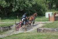 025 P10-MANIABILITE- ATTELAGE - 27052017-ATE 1363 : 2017, 27 Mai 2017, Concours ATTELAGE 2017, Maniabilité, P10