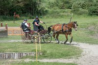 026 P10-MANIABILITE- ATTELAGE - 27052017-ATE 1364 : 2017, 27 Mai 2017, Concours ATTELAGE 2017, Maniabilité, P10