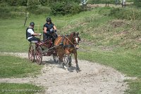 027 P10-MANIABILITE- ATTELAGE - 27052017-ATE 1365 : 2017, 27 Mai 2017, Concours ATTELAGE 2017, Maniabilité, P10