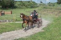029 P10-MANIABILITE- ATTELAGE - 27052017-ATE 1367 : 2017, 27 Mai 2017, Concours ATTELAGE 2017, Maniabilité, P10