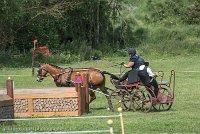 036 P10-MANIABILITE- ATTELAGE - 27052017-ATE 1374 : 2017, 27 Mai 2017, Concours ATTELAGE 2017, Maniabilité, P10