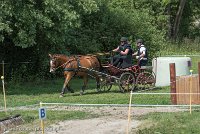 037 P10-MANIABILITE- ATTELAGE - 27052017-ATE 1375 : 2017, 27 Mai 2017, Concours ATTELAGE 2017, Maniabilité, P10