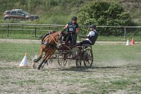 040 P10-MANIABILITE- ATTELAGE - 27052017-ATE 1378 : 2017, 27 Mai 2017, Concours ATTELAGE 2017, Maniabilité, P10