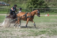 041 P10-MANIABILITE- ATTELAGE - 27052017-ATE 1379 : 2017, 27 Mai 2017, Concours ATTELAGE 2017, Maniabilité, P10