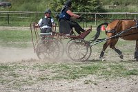 042 P10-MANIABILITE- ATTELAGE - 27052017-ATE 1380 : 2017, 27 Mai 2017, Concours ATTELAGE 2017, Maniabilité, P10