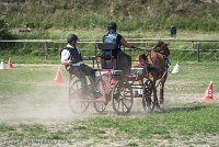 043 P10-MANIABILITE- ATTELAGE - 27052017-ATE 1381 : 2017, 27 Mai 2017, Concours ATTELAGE 2017, Maniabilité, P10