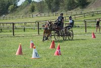 044 P10-MANIABILITE- ATTELAGE - 27052017-ATE 1382 : 2017, 27 Mai 2017, Concours ATTELAGE 2017, Maniabilité, P10