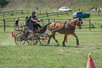 045 P10-MANIABILITE- ATTELAGE - 27052017-ATE 1383 : 2017, 27 Mai 2017, Concours ATTELAGE 2017, Maniabilité, P10