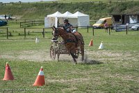 046 P10-MANIABILITE- ATTELAGE - 27052017-ATE 1384 : 2017, 27 Mai 2017, Concours ATTELAGE 2017, Maniabilité, P10