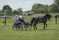 001 P11-MANIABILITE- ATTELAGE - 27052017-ATE 1385 : 2017, 27 Mai 2017, Concours ATTELAGE 2017, Maniabilité, P11