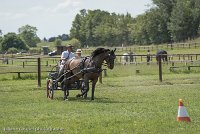 003 P11-MANIABILITE- ATTELAGE - 27052017-ATE 1387 : 2017, 27 Mai 2017, Concours ATTELAGE 2017, Maniabilité, P11