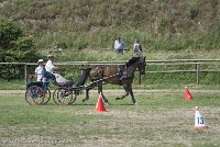 004 P11-MANIABILITE- ATTELAGE - 27052017-ATE 1388 : 2017, 27 Mai 2017, Concours ATTELAGE 2017, Maniabilité, P11