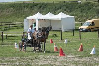 005 P11-MANIABILITE- ATTELAGE - 27052017-ATE 1389 : 2017, 27 Mai 2017, Concours ATTELAGE 2017, Maniabilité, P11