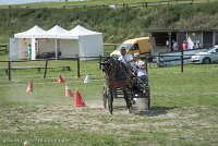 006 P11-MANIABILITE- ATTELAGE - 27052017-ATE 1390 : 2017, 27 Mai 2017, Concours ATTELAGE 2017, Maniabilité, P11