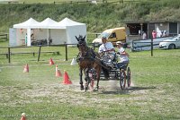 007 P11-MANIABILITE- ATTELAGE - 27052017-ATE 1391 : 2017, 27 Mai 2017, Concours ATTELAGE 2017, Maniabilité, P11