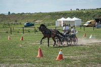 008 P11-MANIABILITE- ATTELAGE - 27052017-ATE 1392 : 2017, 27 Mai 2017, Concours ATTELAGE 2017, Maniabilité, P11